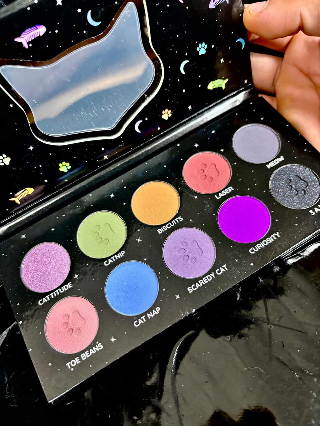 PALETA THE CATS MEOW 🐈‍⬛