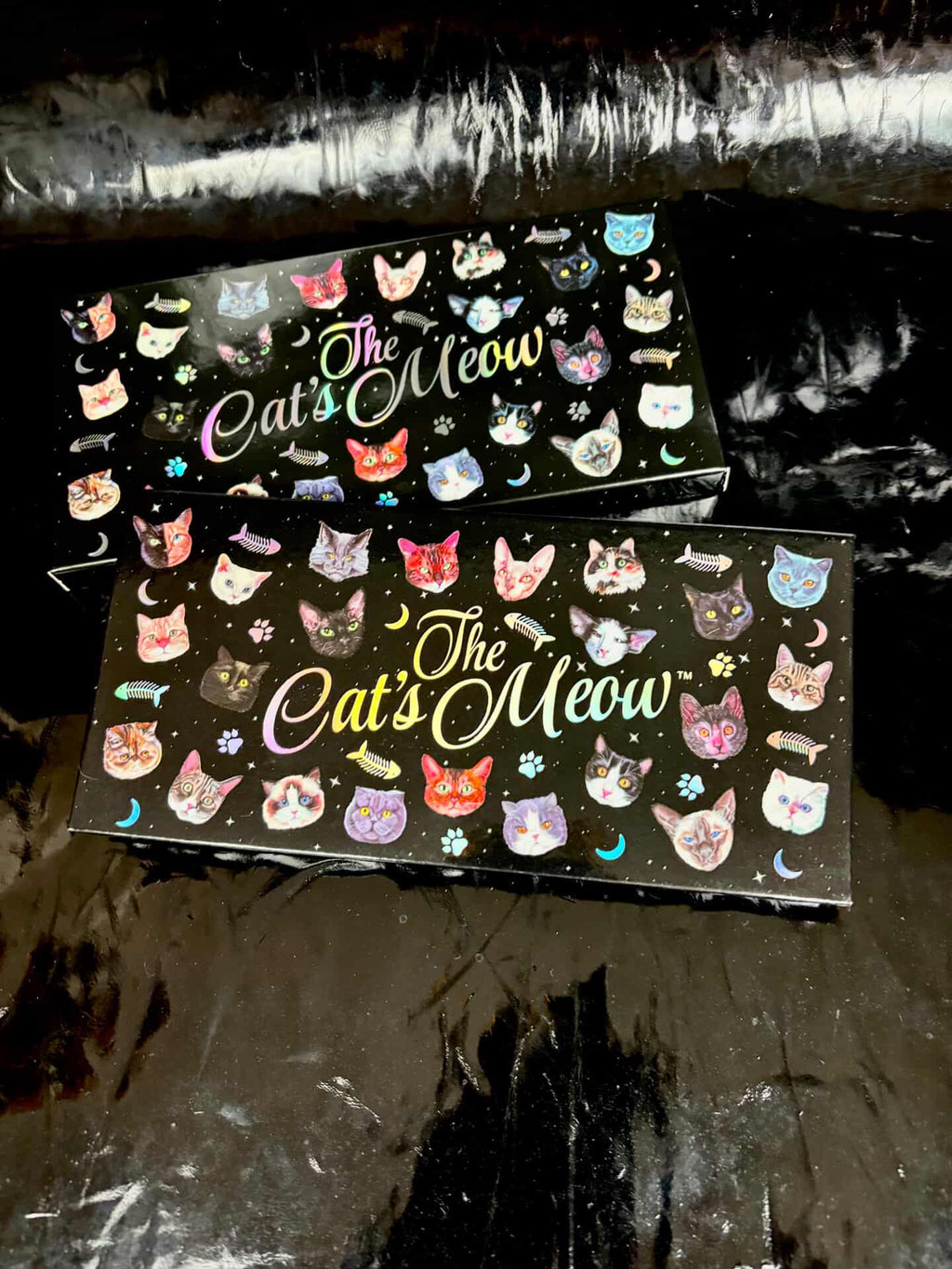 PALETA THE CATS MEOW 🐈‍⬛