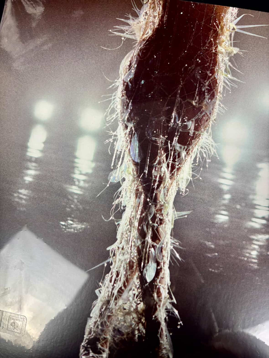 Vinilo Miley Cirus -something beautiful