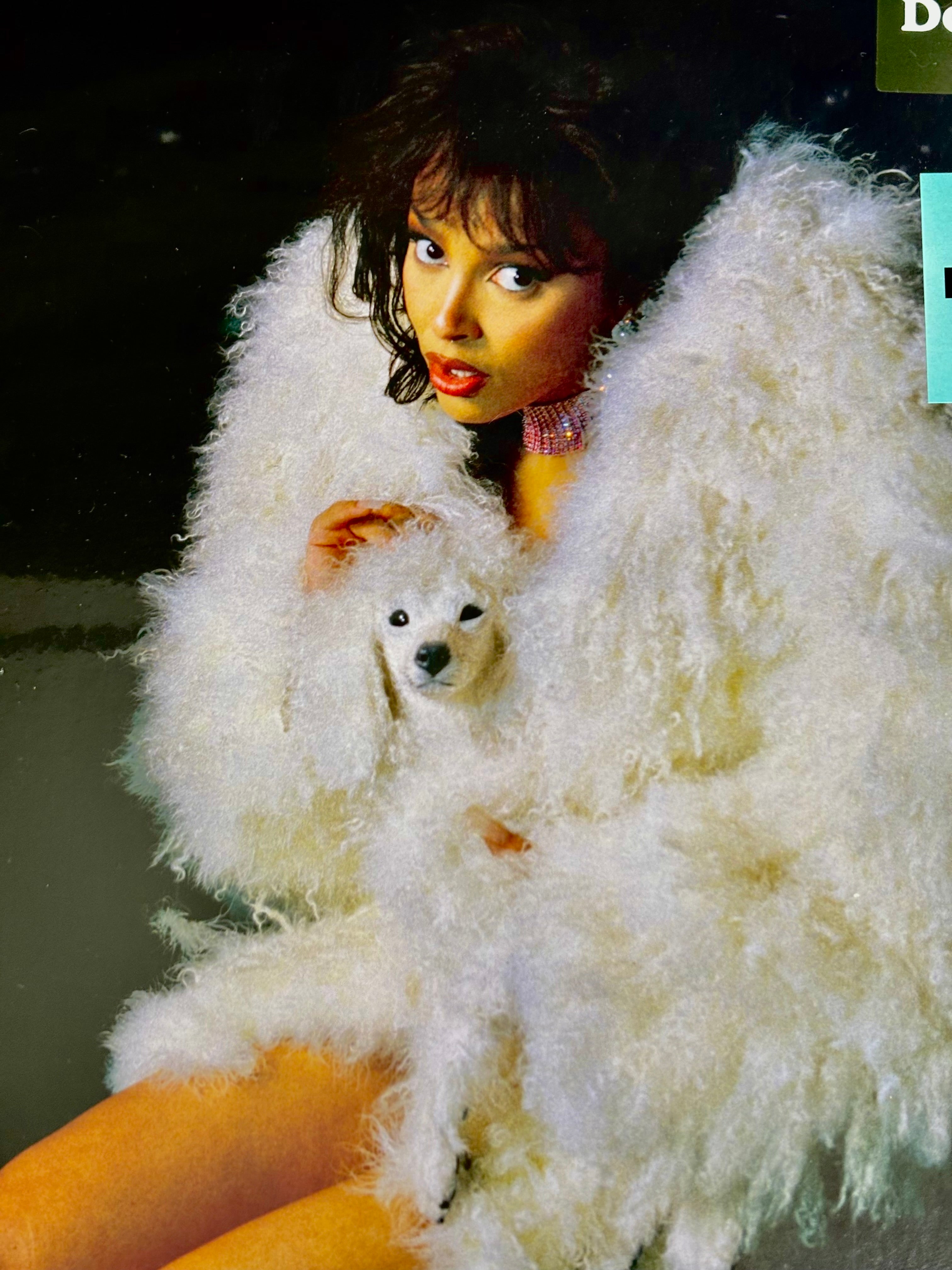 Vinilo Doja cat - Vie ✨🐩