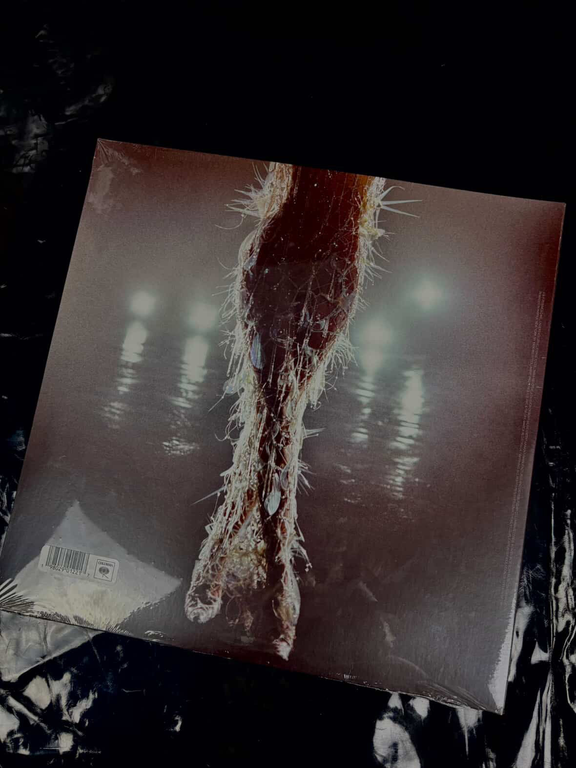 Vinilo Miley Cirus -something beautiful