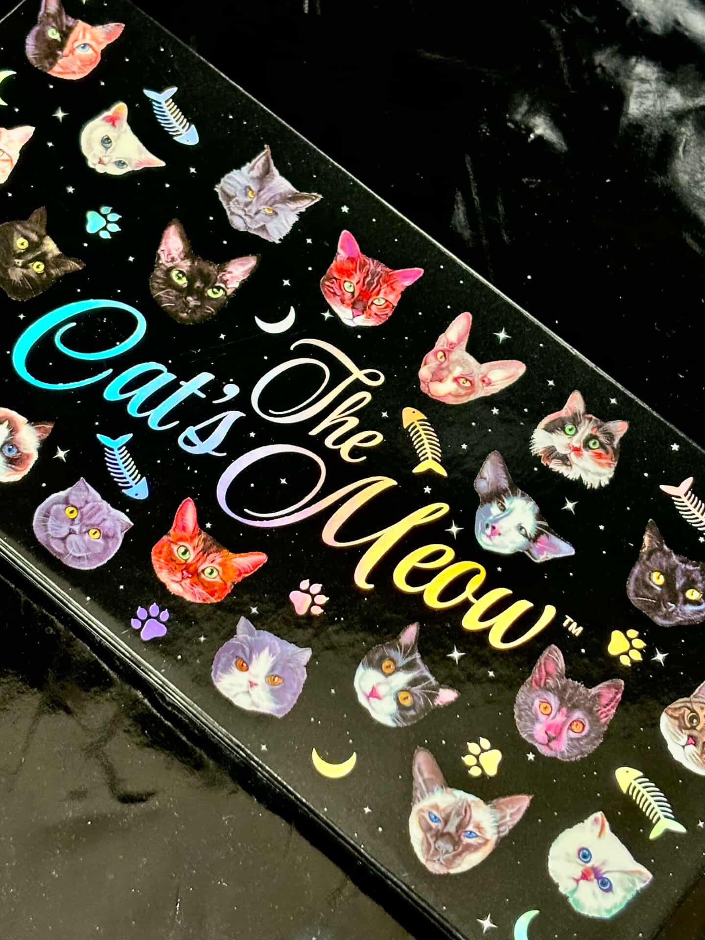 PALETA THE CATS MEOW 🐈‍⬛