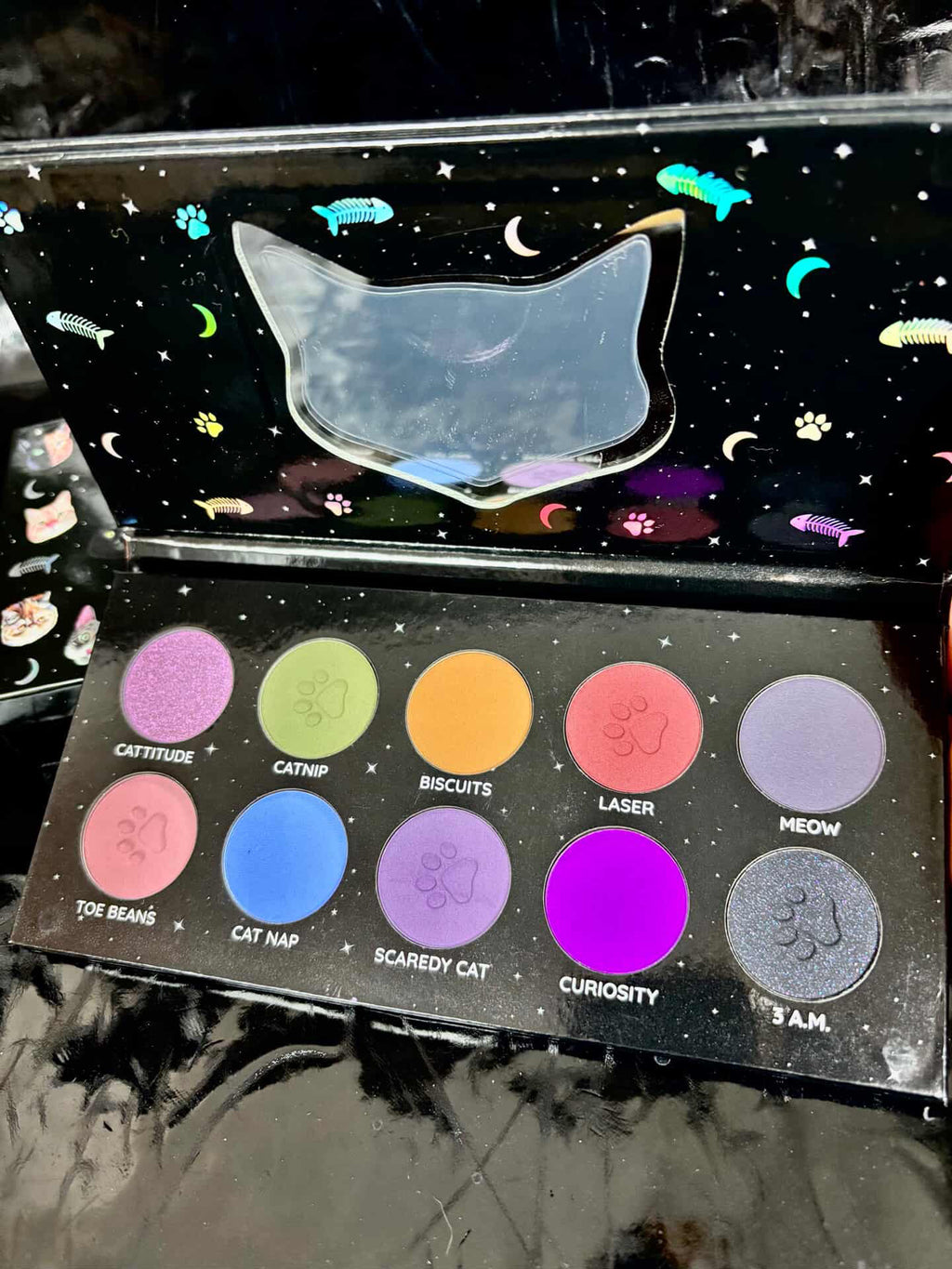 PALETA THE CATS MEOW 🐈‍⬛